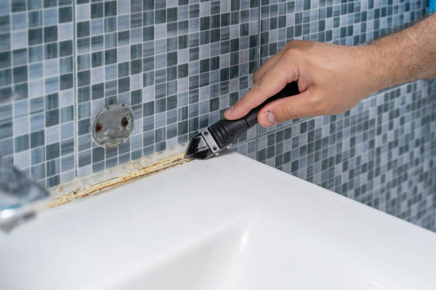 Best HVAC Mold Remediation in Santa Clara, UT